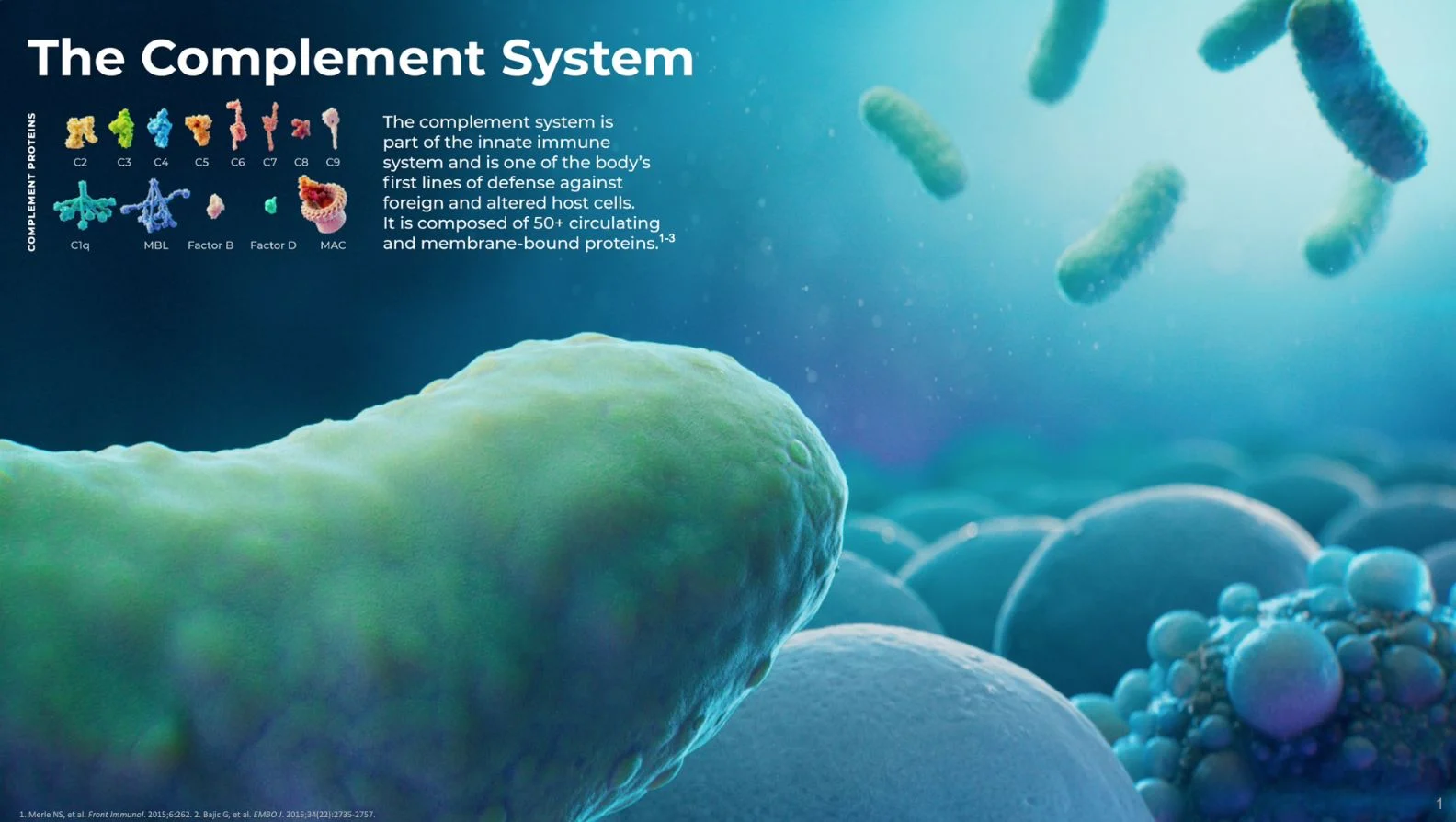 Microscopic view of the complement system, showcasing various proteins. Text describes it as part of the immune system, with a role in defending against foreign and altered host cells.