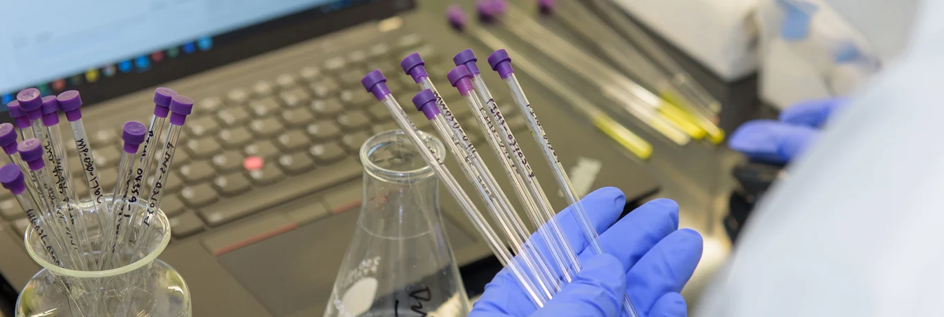 A gloved hand holds test tubes with purple caps near a laptop and flask on a laboratory workstation.